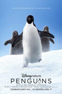 دانلود مستند پنگوئن ها با دوبله فارسی Penguins 2019