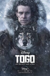 دانلود فیلم توگو با دوبله فارسی Togo 2019